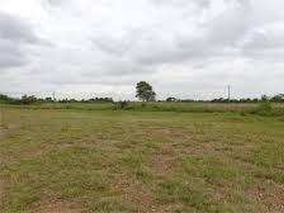 Agricultural Land 350 Bigha for Sale in Paota, Jaipur