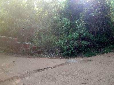 Residential Plot 3800 Sq.ft. for Sale in Anjuna, North Goa,