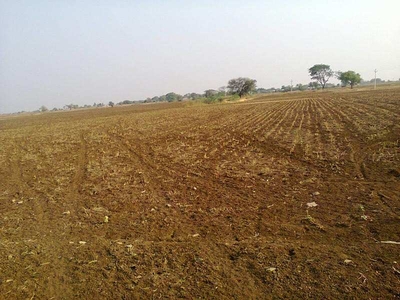 Agricultural Land 4 Acre for Sale in Pardi, Valsad