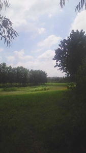 Agricultural Land 4 Bigha for Sale in Shahabad, Rampur