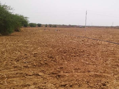 Agricultural Land 4 Bigha for Sale in Shastri Nagar, Bhilwara
