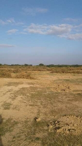 Agricultural Land 4 Bigha for Sale in Uniara, Tonk