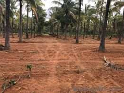 Agricultural Land 5 Acre for Sale in Srirampuram, Bangalore
