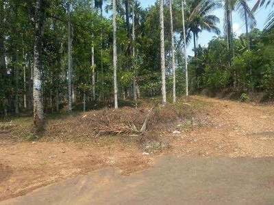 Residential Plot 5 Cent for Sale in Puttur, Mangalore