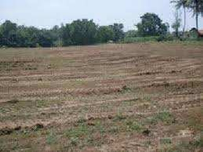 Residential Plot 520 Sq. Yards for Sale in
