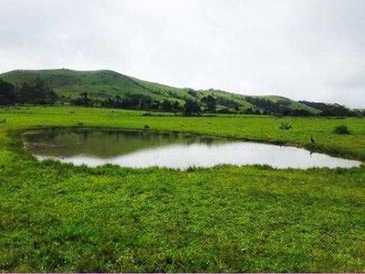 Agricultural Land 6 Acre for Sale in Sakleshpur, Hassan