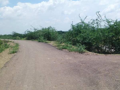Agricultural Land 6 Bigha for Sale in Todaraisingh, Tonk