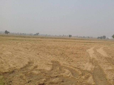 Agricultural Land 60 Bigha for Sale in Ramgarh, Alwar