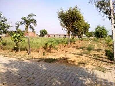 Residential Plot 630 Sq.ft. for Sale in Sector 95 Noida