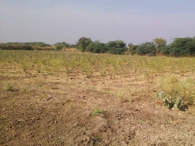Agricultural Land 7 Bigha for Sale in Talera, Bundi