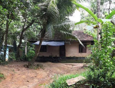 Residential Plot 7 Cent for Sale in Puthenvelikkara, Kochi