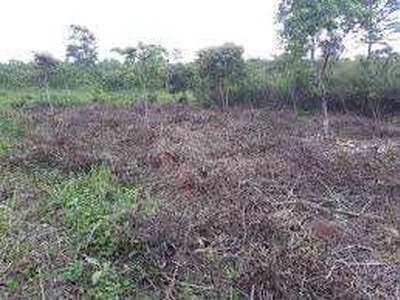 Agricultural Land 70 Bigha for Sale in Uluberia, Howrah