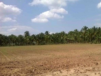 Residential Plot 760 Sq. Yards for Sale in