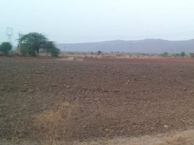 Agricultural Land 8 Bigha for Sale in Uniara, Tonk