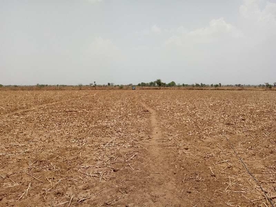 Agricultural Land 9 Bigha for Sale in Nasirabad, Ajmer