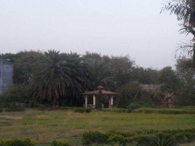 Agricultural Land 90 Bigha for Sale in Marihan, Mirzapur-cum-Vindhyachal