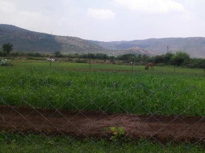 Agricultural Land 11 Bigha for Sale in Nainwa, Bundi