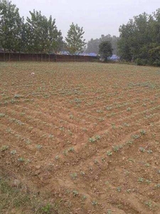 Agricultural Land 8 Acre for Sale in