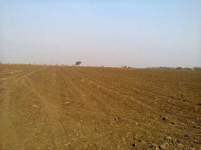 Agricultural Land 100 Acre for Sale in Pardi, Vapi