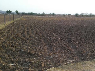 Agricultural Land 6 Bigha for Sale in Talera, Bundi