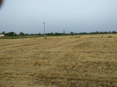 Agricultural Land 17 Bigha for Sale in Uniara, Tonk