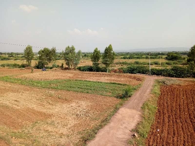Commercial Land 420 Bigha for Sale in