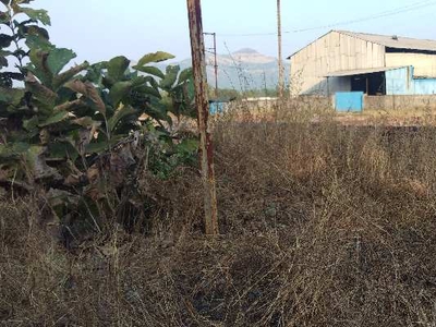 Industrial Land 20 Guntha for Sale in Alibag, Raigad