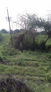 Industrial Land 4 Bigha for Sale in