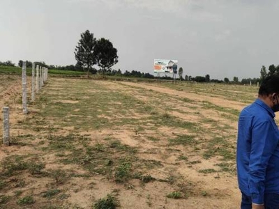1200 sq ft NorthEast facing Plot for sale at Rs 11.70 lacs in Employees co operative housing society cargo road devenahalli in Devanahalli, Bangalore