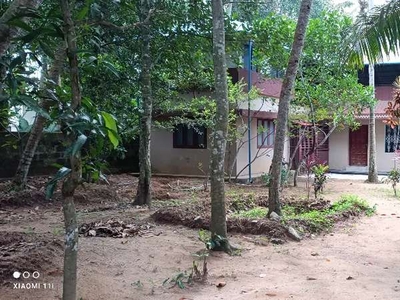 15 cents of land with 1620 sq.ft house . Auto Rickshaw access