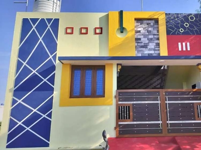 New luxury 2BHK villa for sale in Vagaikulam