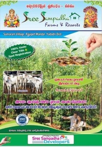 1089 sq ft West facing Plot for sale at Rs 5.00 lacs in Sree Sampadha Farms and Resorts Somaram in Yadagirigutta, Hyderabad