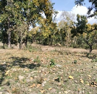 200 Sq.Yd. Plot in Chakarata Road Dehradun