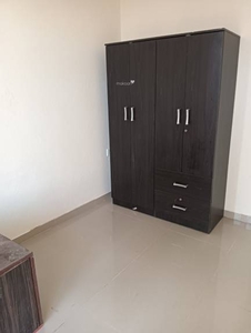 536 sq ft 2 BHK 2T Apartment for rent in Shree Vardhman Green Court at Sector 90, Gurgaon by Agent Gateway Realty
