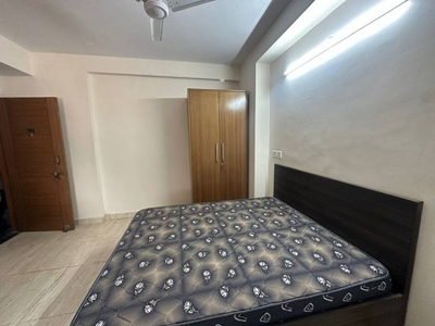 750 sq ft 1RK 1T BuilderFloor for rent in Project at Sector 41, Gurgaon by Agent cripa properties
