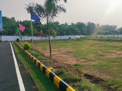 Singhvi Garden