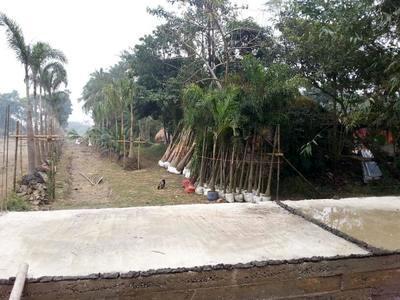 Residential Land For SALE 5 mins from Rasapunja