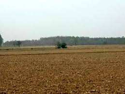 Agricultural Land 1 Acre for Sale in
