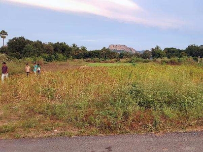Agricultural Land 1 Acre for Sale in Veppanapalli, Krishnagiri