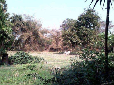Residential Plot 1 Acre for Sale in Balichak, Medinipur