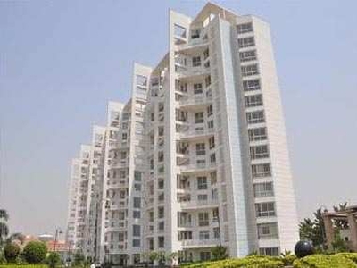 1 BHK Apartment 1450 Sq.ft. for Sale in Golf Course, Greater Noida