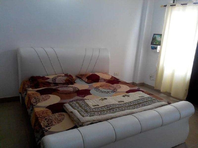 1 BHK Apartment 451 Sq.ft. for Sale in