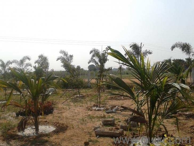 1 BHK Farm House 605 Sq. Yards for Sale in