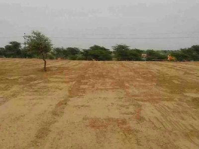 Agricultural Land 10 Bigha for Sale in Suratgarh, Ganganagar