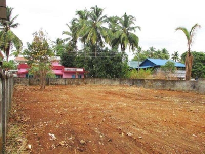 Residential Plot 10 Cent for Sale in Nadathara, Thrissur