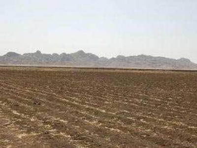 Agricultural Land 100 Acre for Sale in