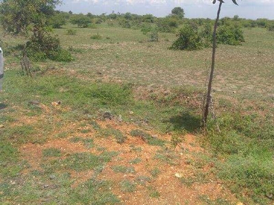 Industrial Land 1000 Acre for Sale in