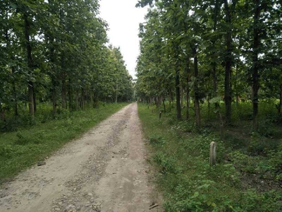Residential Plot 1000 Sq. Yards for Sale in Biharigarh, Saharanpur