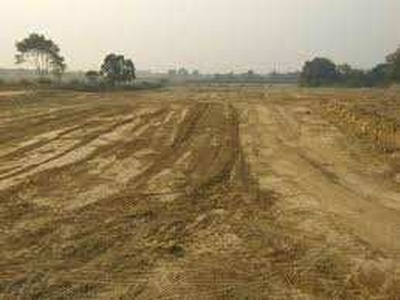 Residential Plot 1000 Sq.ft. for Sale in Sultanpur Road, Lucknow