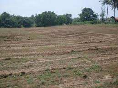 Industrial Land 10000 Sq. Meter for Sale in